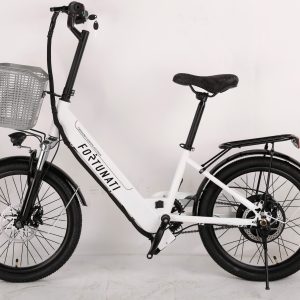 Bicicleta Electrica Plegable